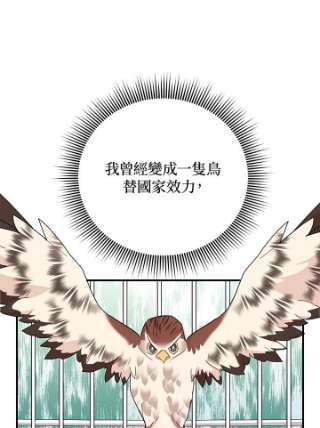 传令鸟公主殿下42话