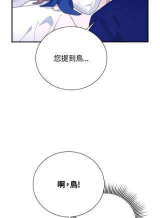 传令鸟公主殿下42话