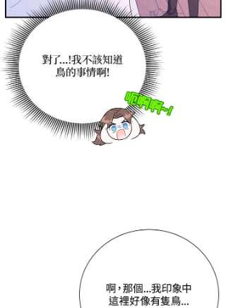 传令鸟公主殿下42话