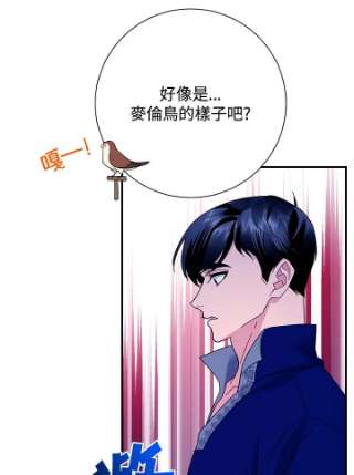 传令鸟公主殿下42话