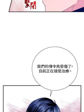 传令鸟公主殿下42话