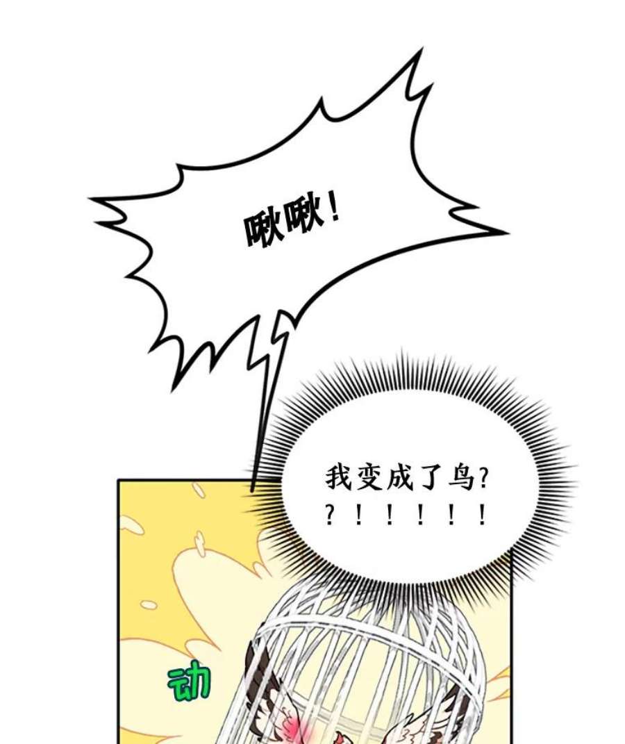 传令鸟公主殿下0.序章