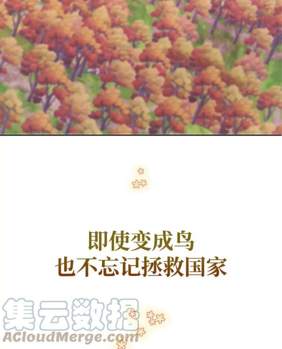 传令鸟公主殿下0.序章