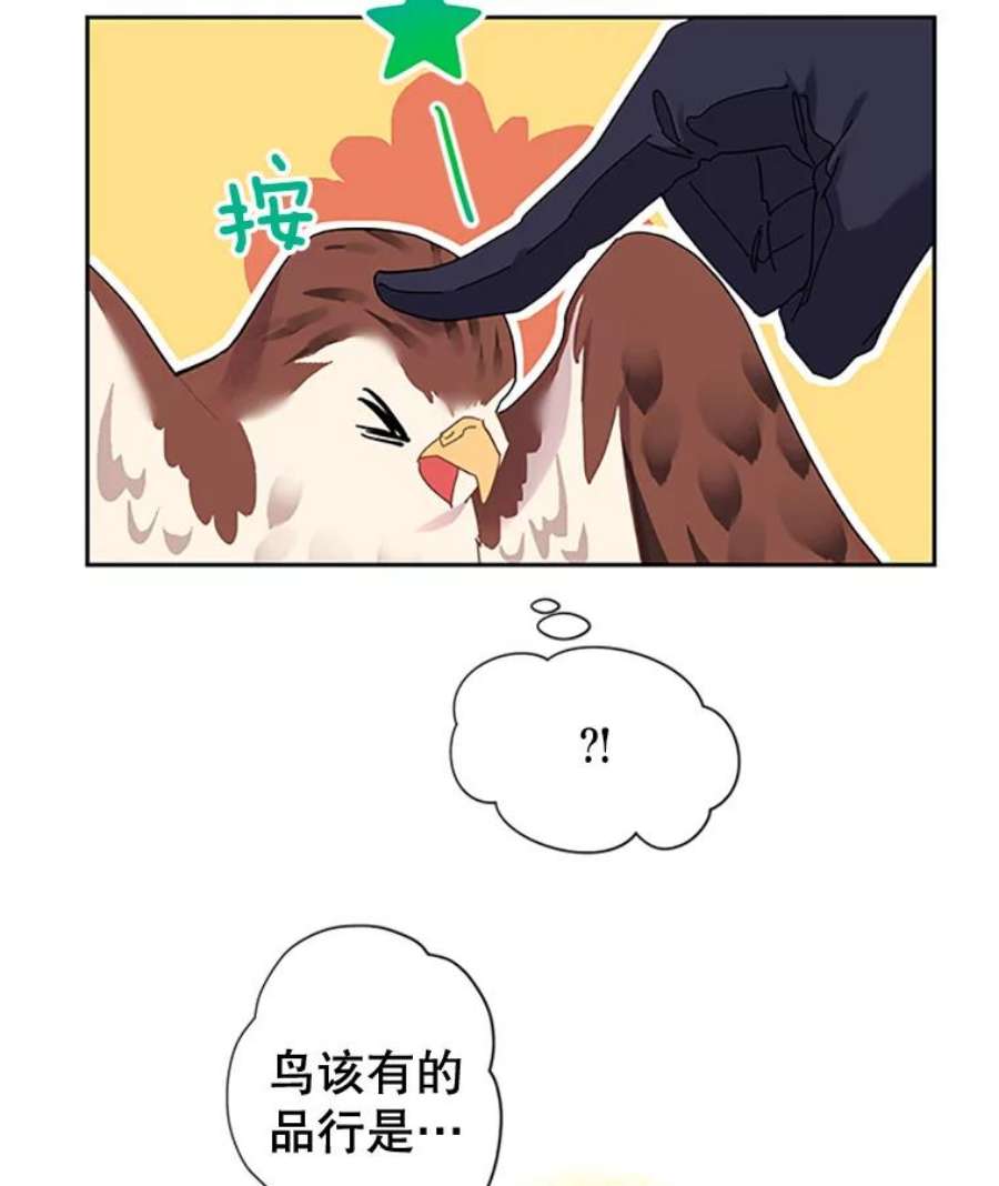 传令鸟公主殿下0.序章