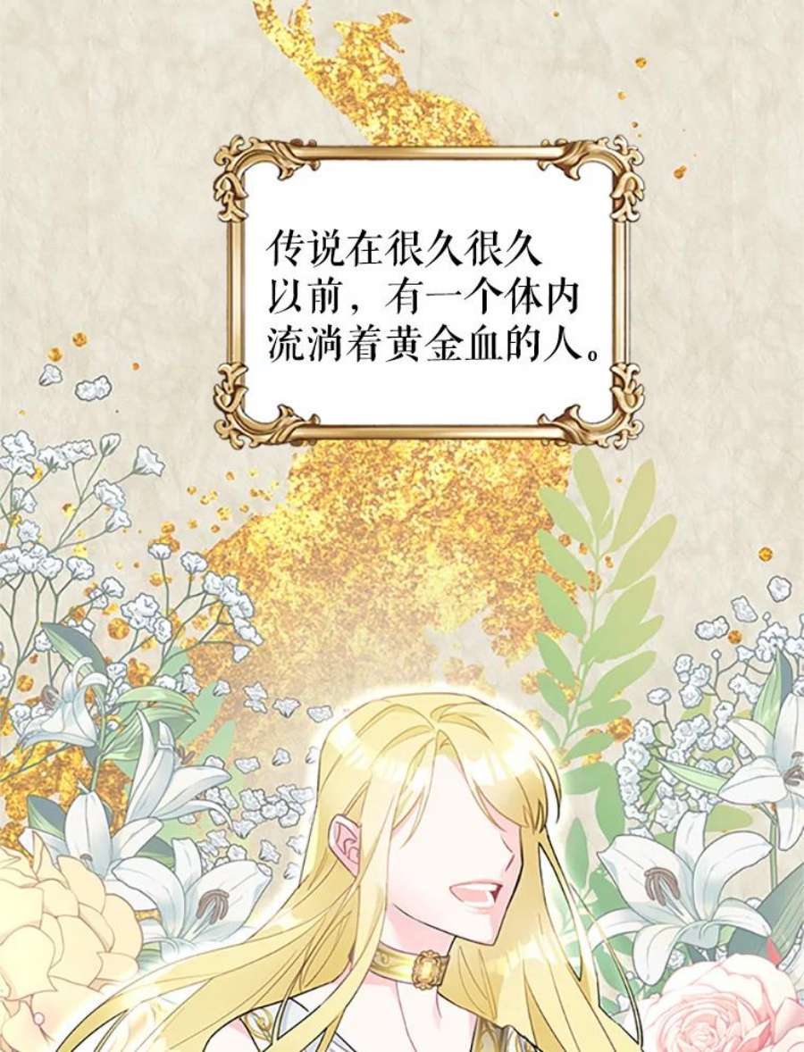 传令鸟公主殿下1.我变成了一只鸟？！