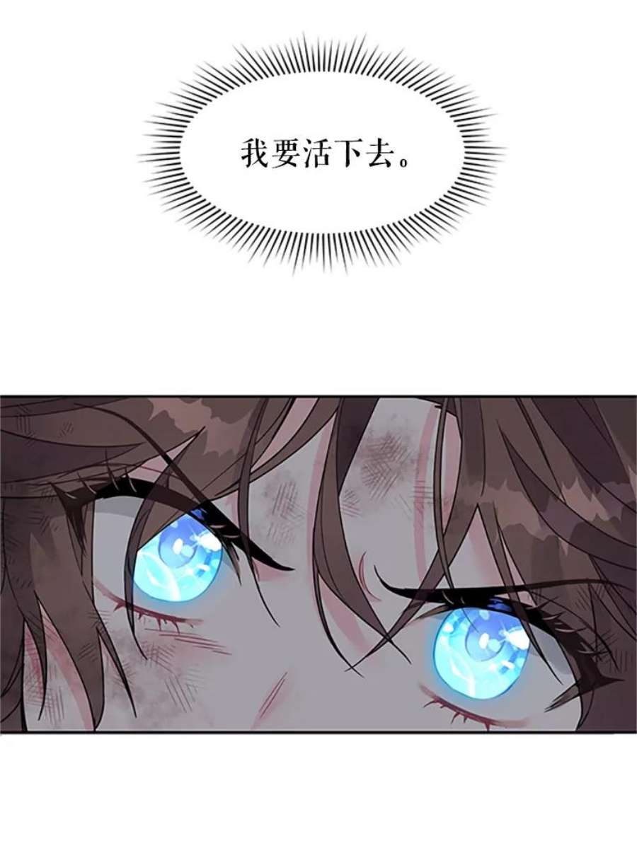 传令鸟公主殿下1.我变成了一只鸟？！