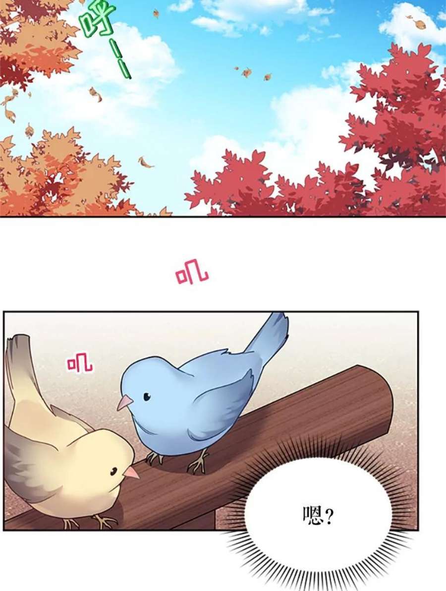 传令鸟公主殿下1.我变成了一只鸟？！