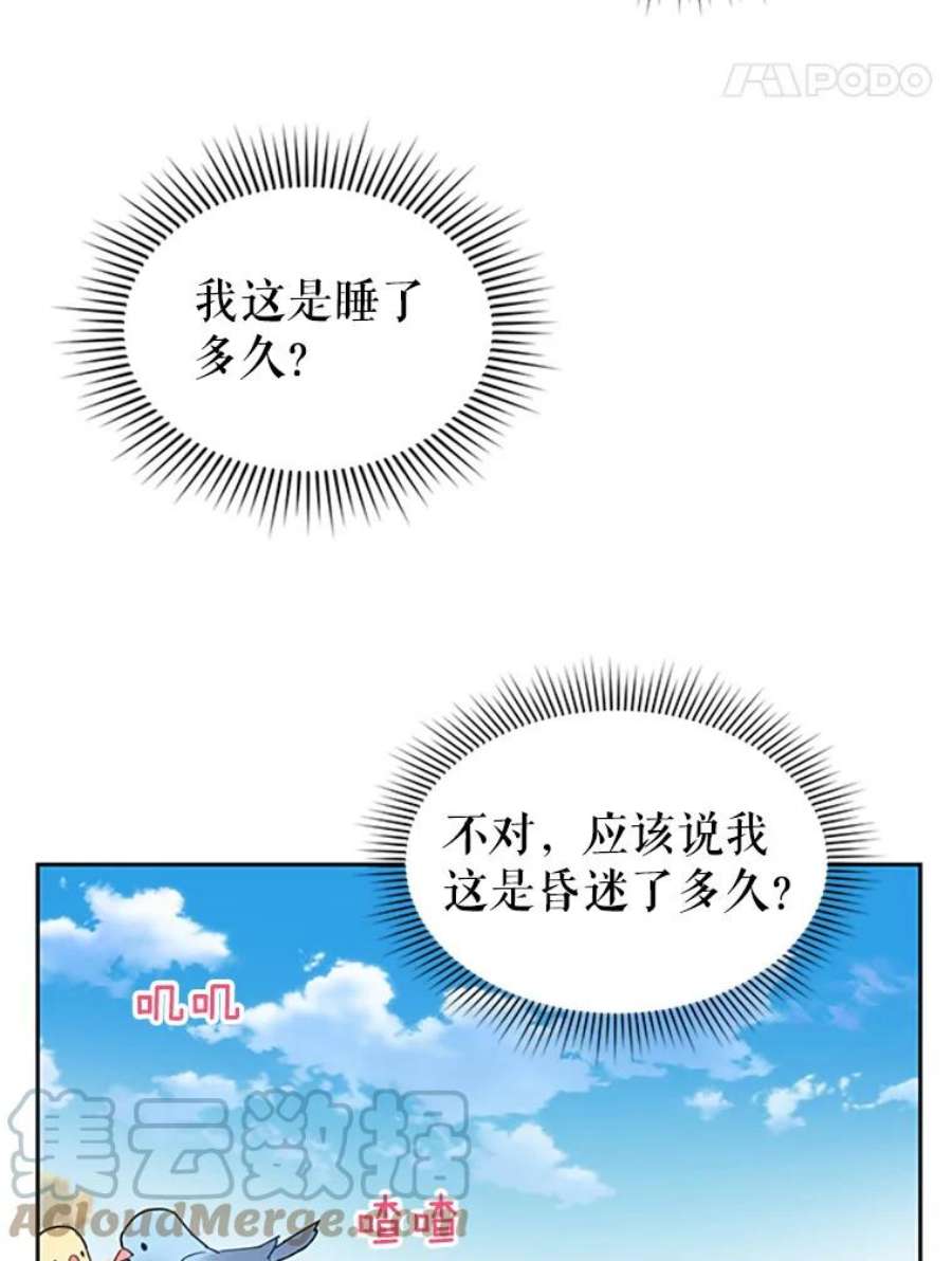 传令鸟公主殿下1.我变成了一只鸟？！