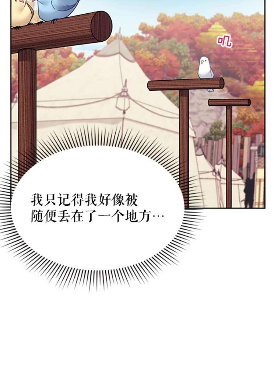 传令鸟公主殿下1.我变成了一只鸟？！