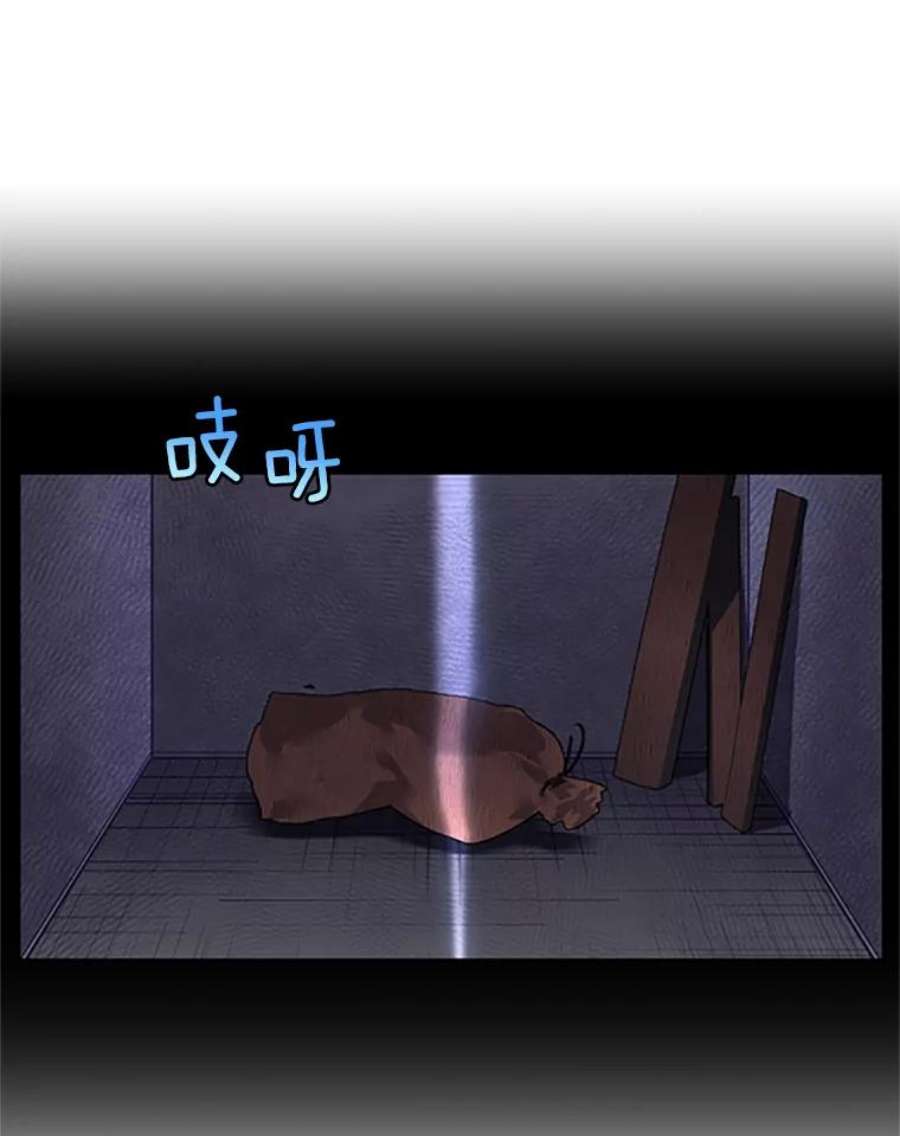 传令鸟公主殿下1.我变成了一只鸟？！
