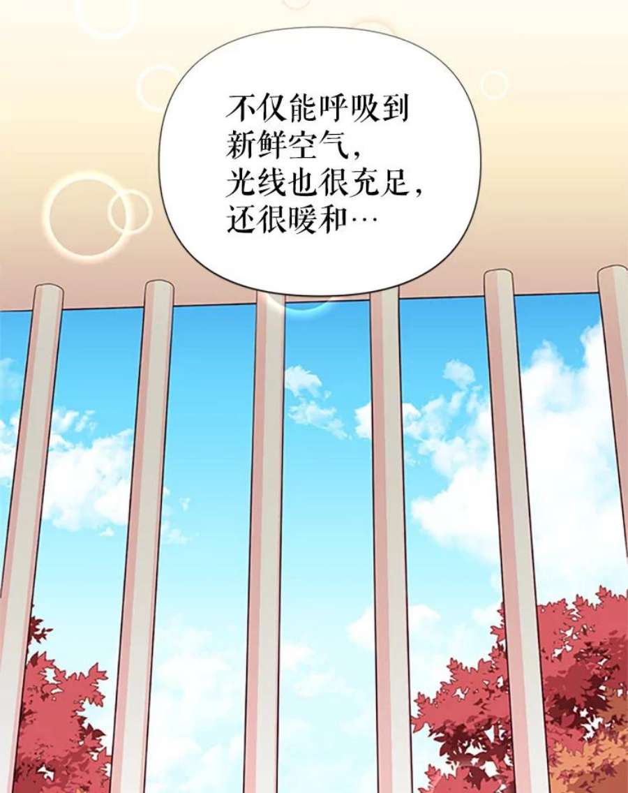 传令鸟公主殿下1.我变成了一只鸟？！