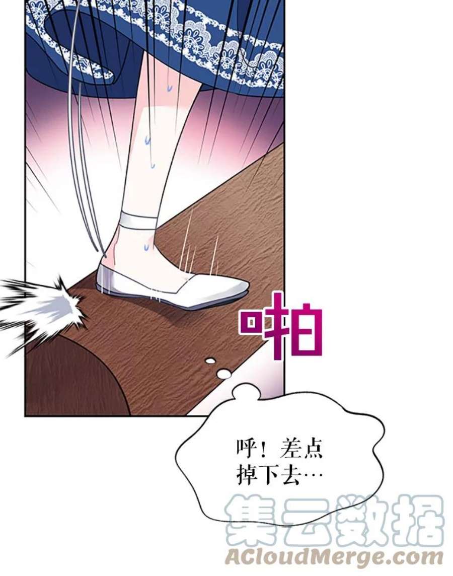 传令鸟公主殿下1.我变成了一只鸟？！