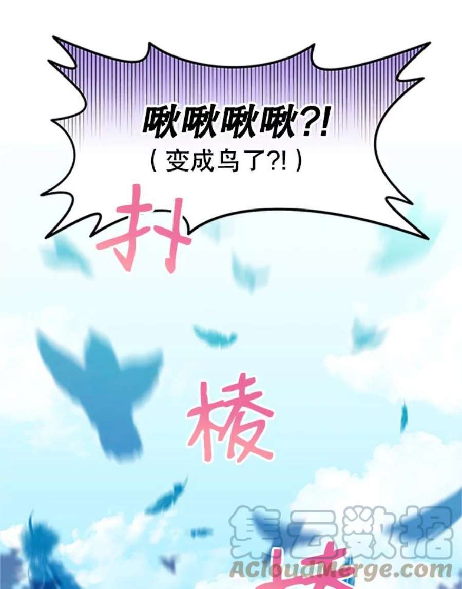 传令鸟公主殿下1.我变成了一只鸟？！