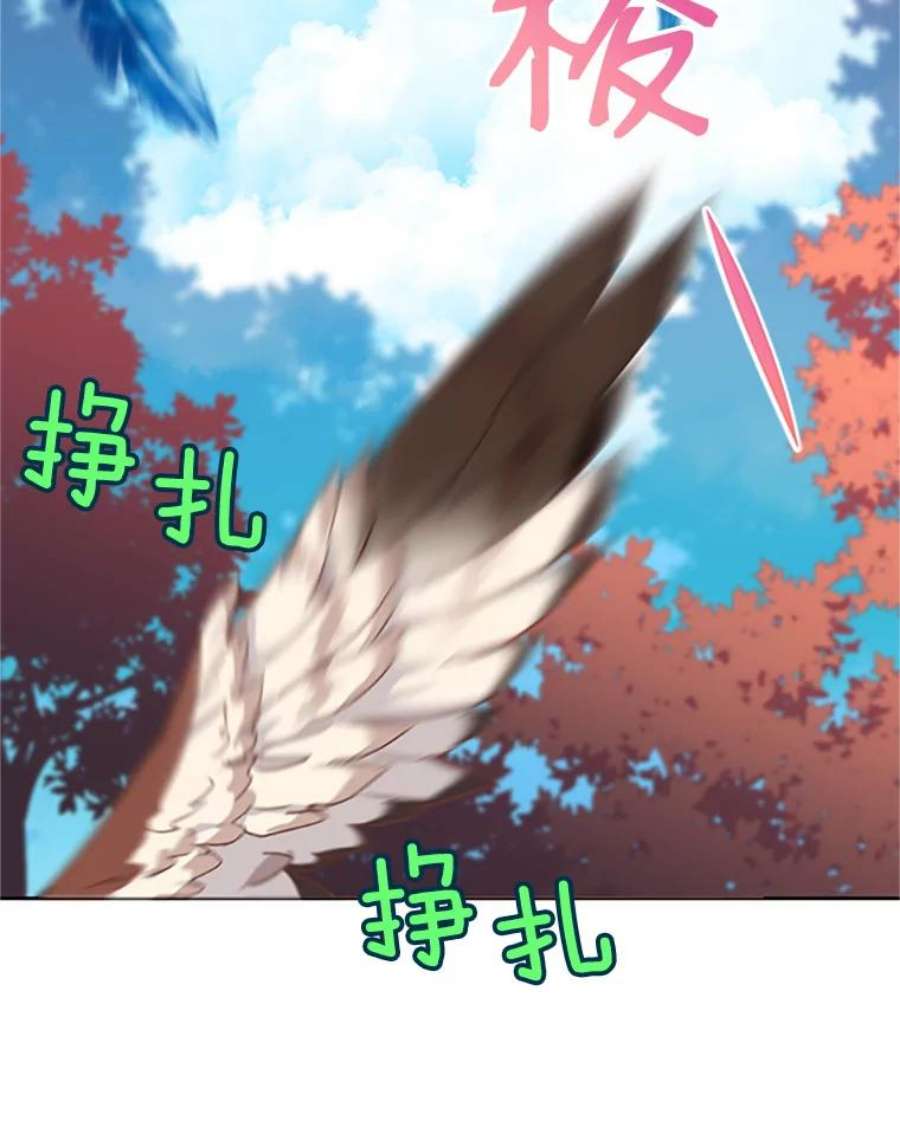 传令鸟公主殿下1.我变成了一只鸟？！
