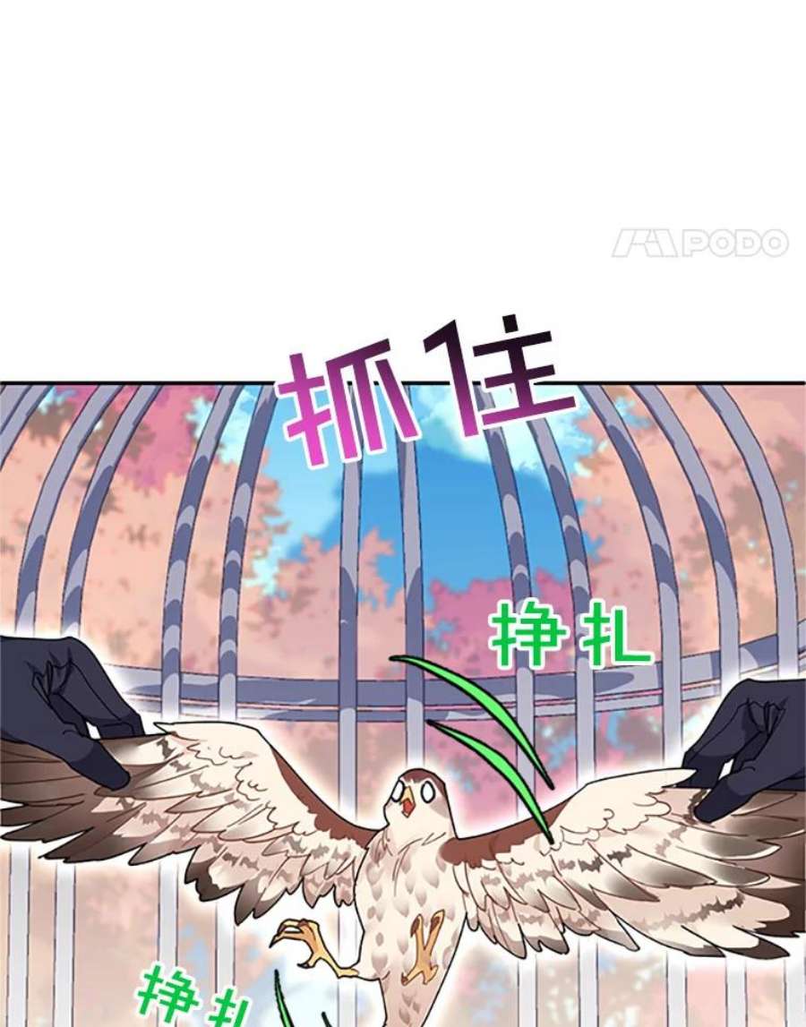 传令鸟公主殿下2.拯救传令兵
