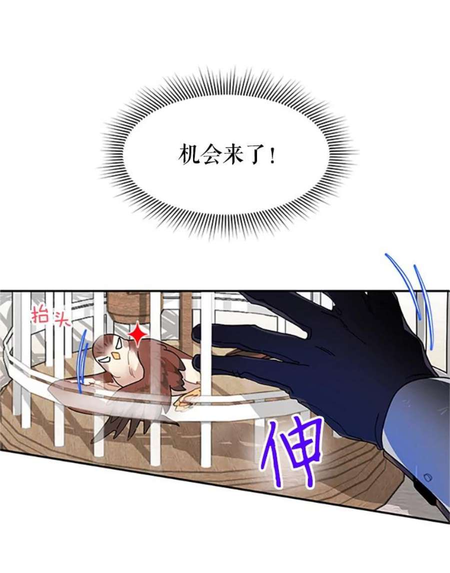 传令鸟公主殿下2.拯救传令兵