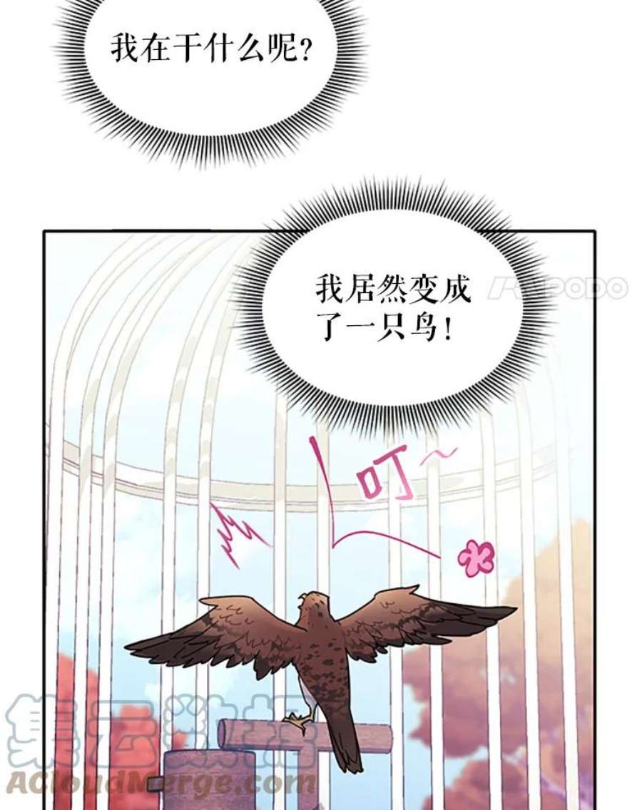 传令鸟公主殿下2.拯救传令兵