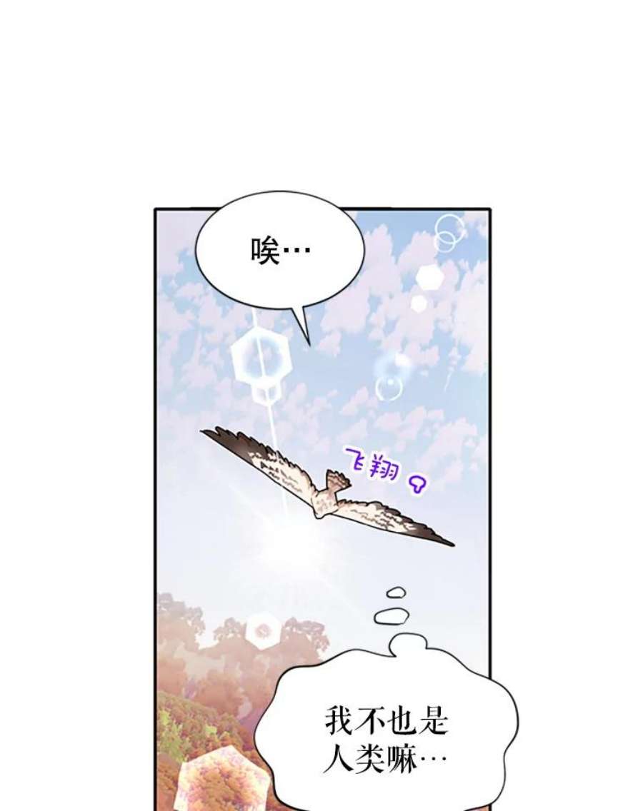 传令鸟公主殿下2.拯救传令兵