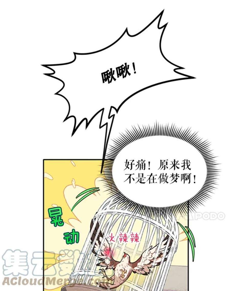 传令鸟公主殿下2.拯救传令兵