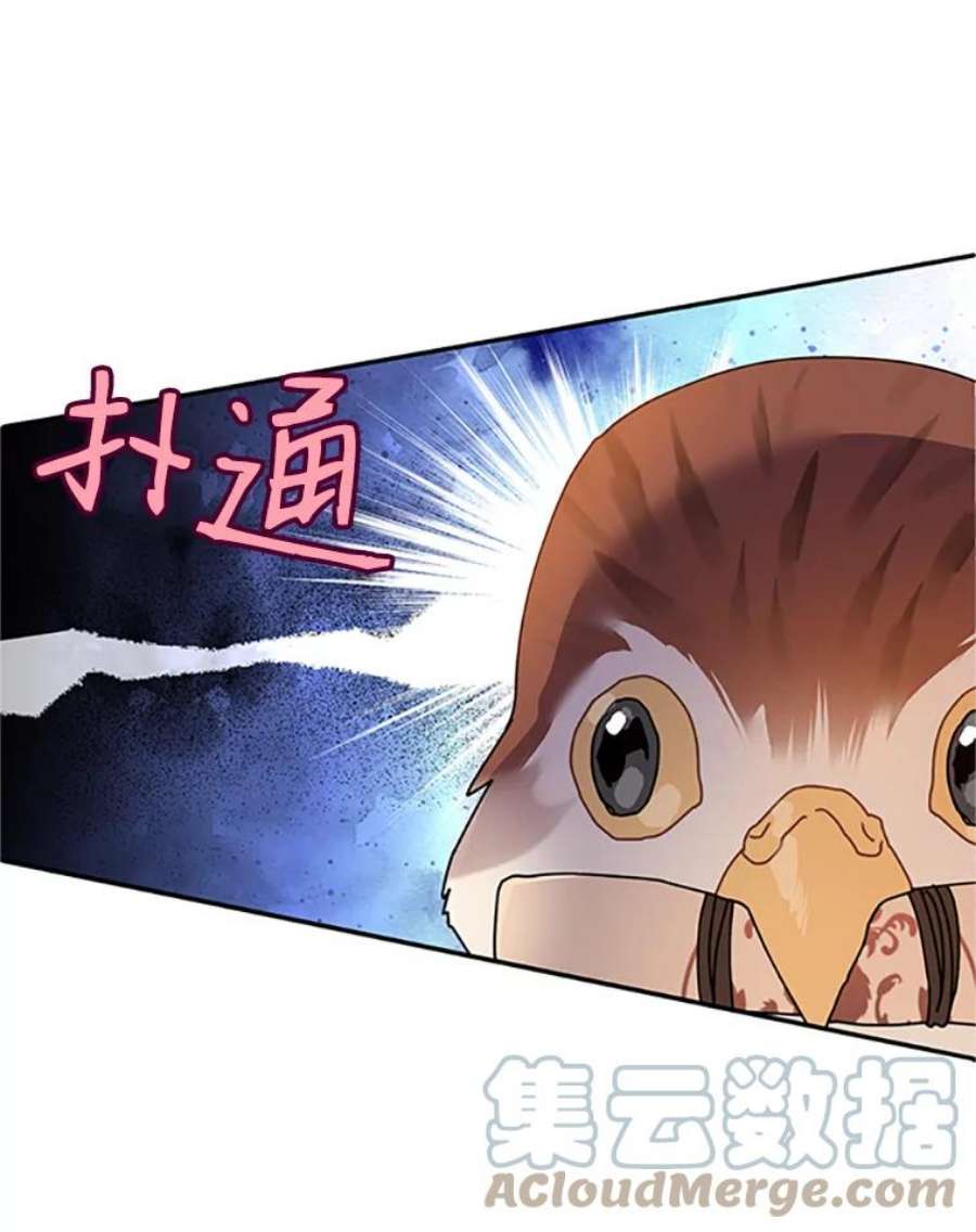 传令鸟公主殿下2.拯救传令兵