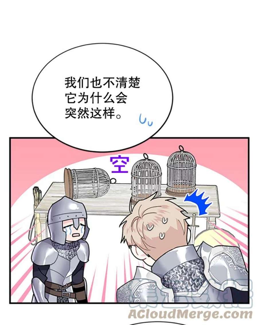 传令鸟公主殿下3.初见法拉尔