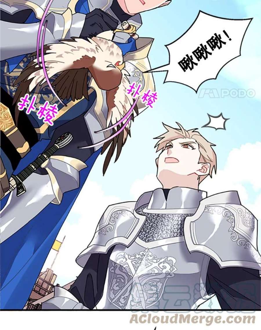 传令鸟公主殿下3.初见法拉尔