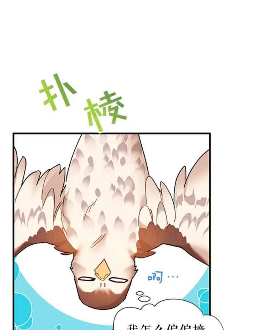 传令鸟公主殿下3.初见法拉尔