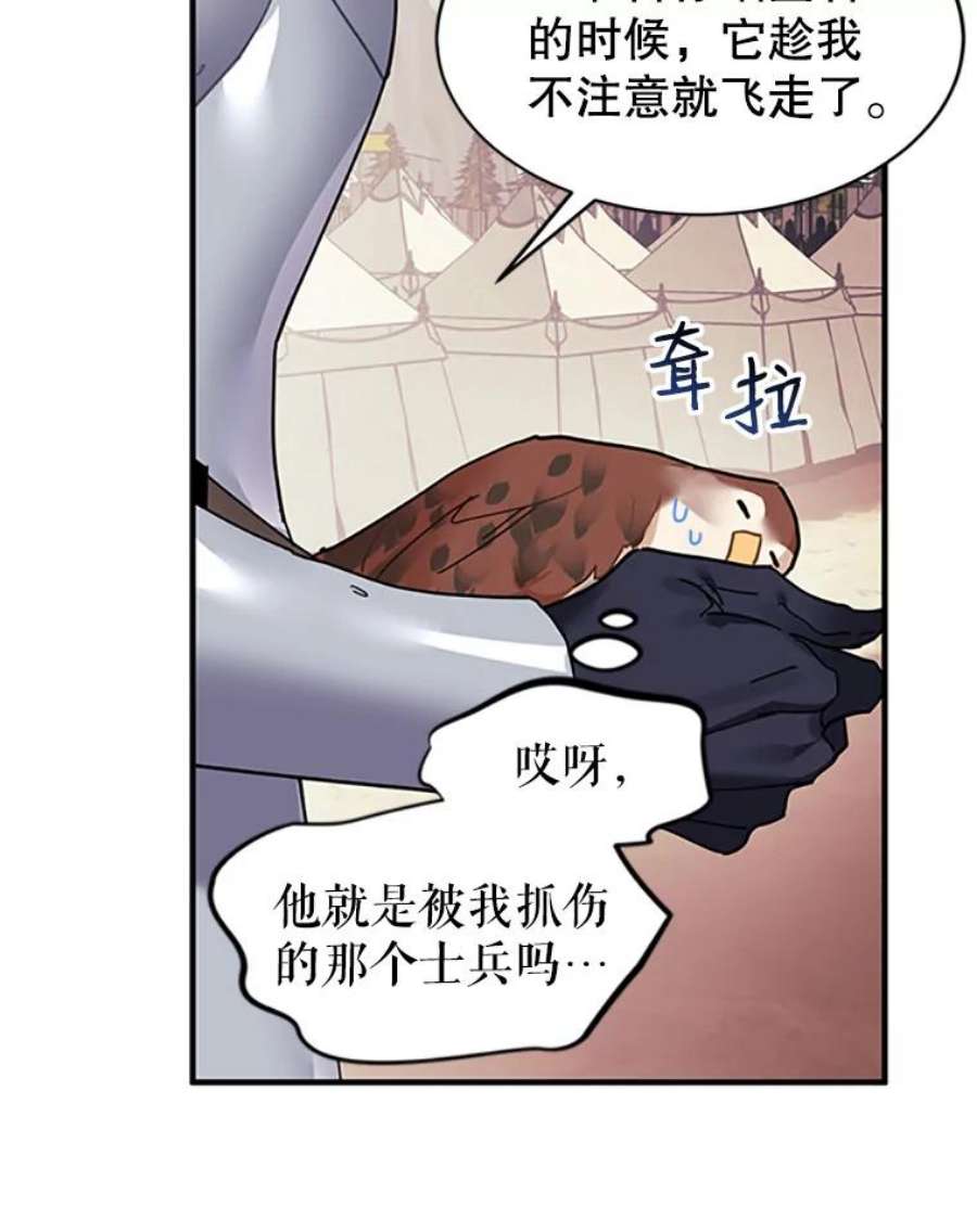 传令鸟公主殿下3.初见法拉尔