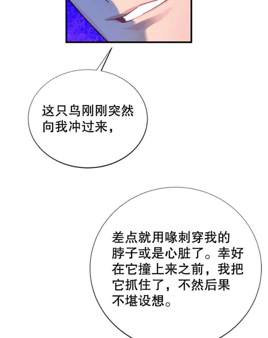 传令鸟公主殿下3.初见法拉尔
