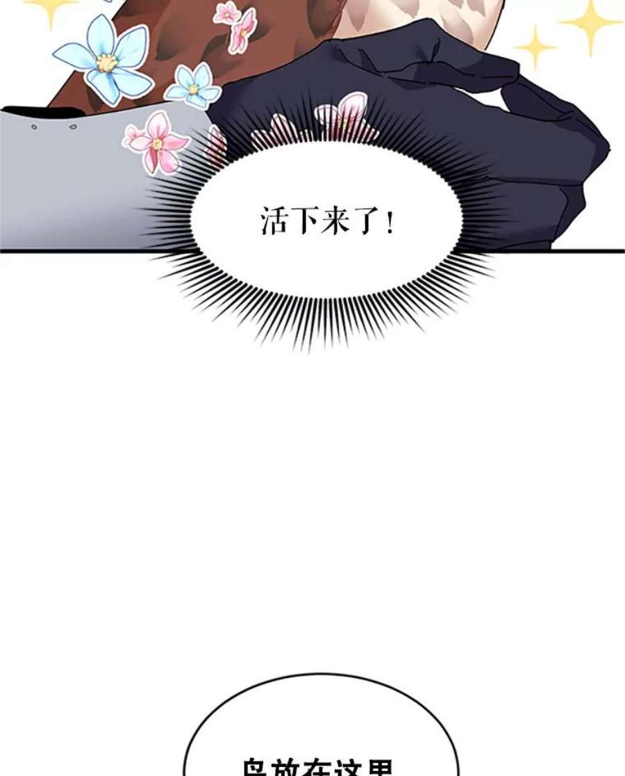 传令鸟公主殿下3.初见法拉尔