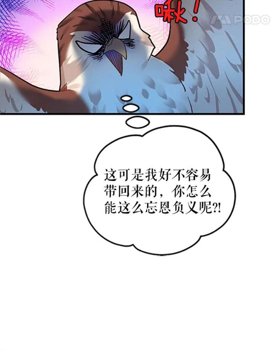 传令鸟公主殿下4.干得好，总司令官！