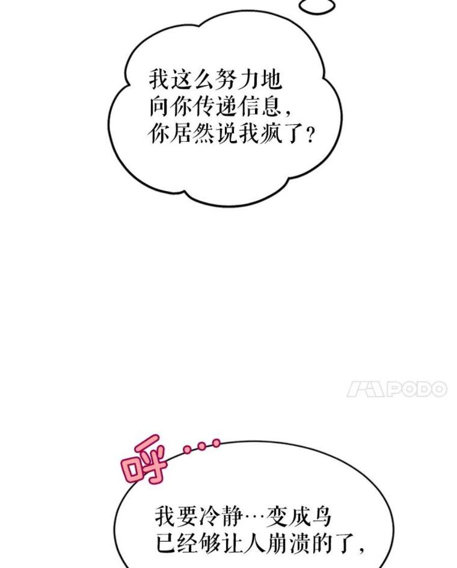 传令鸟公主殿下4.干得好，总司令官！