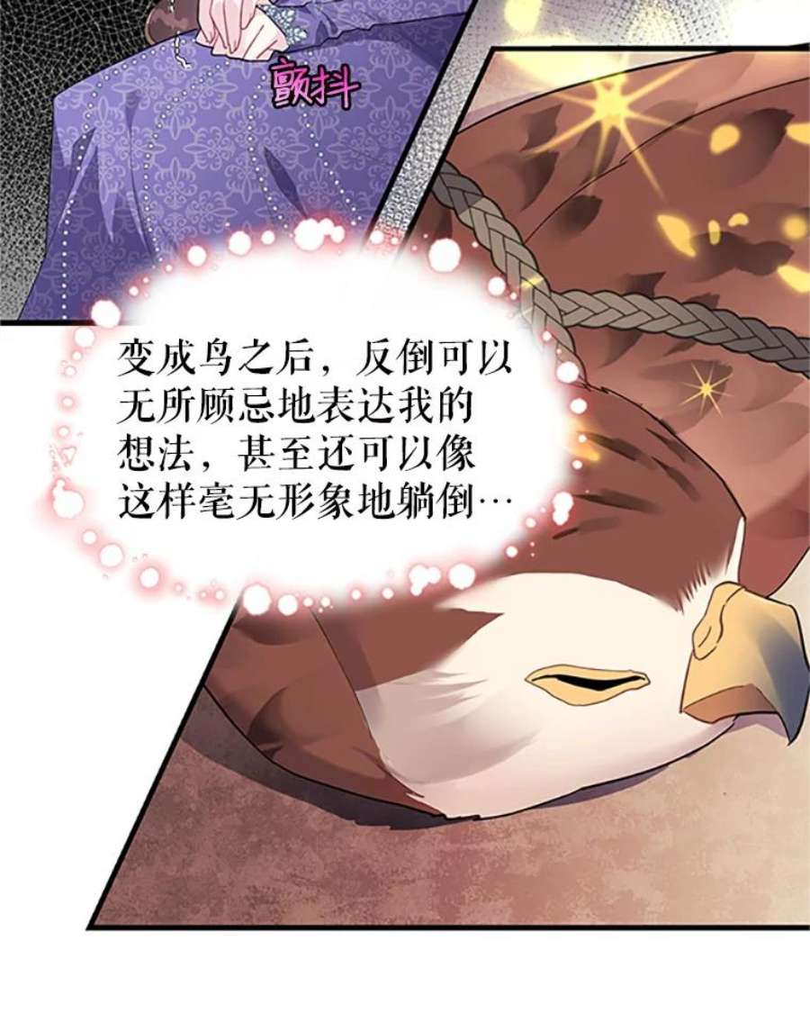 传令鸟公主殿下4.干得好，总司令官！