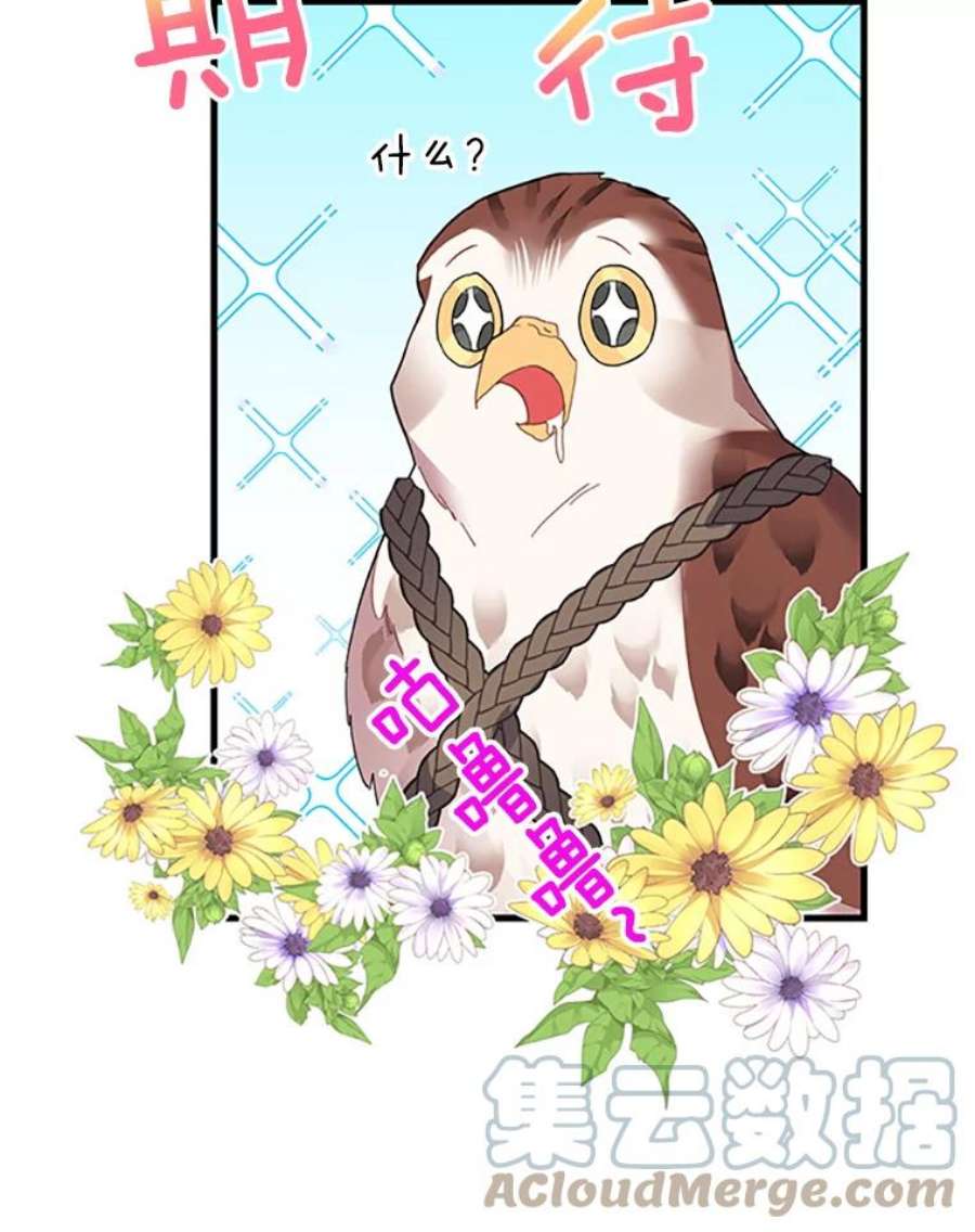 传令鸟公主殿下4.干得好，总司令官！