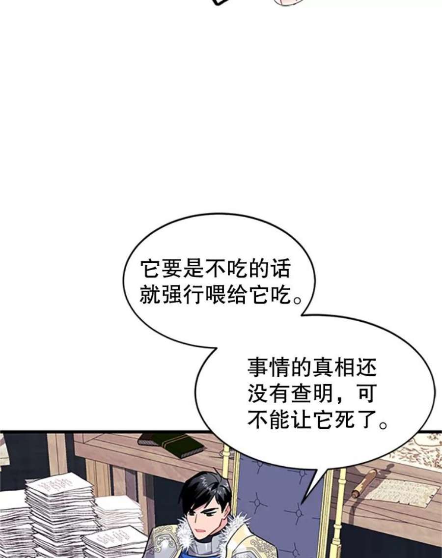 传令鸟公主殿下4.干得好，总司令官！