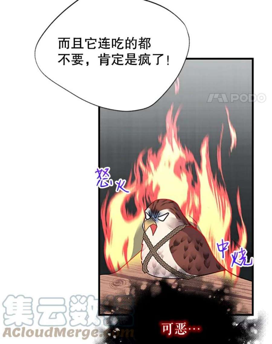 传令鸟公主殿下4.干得好，总司令官！