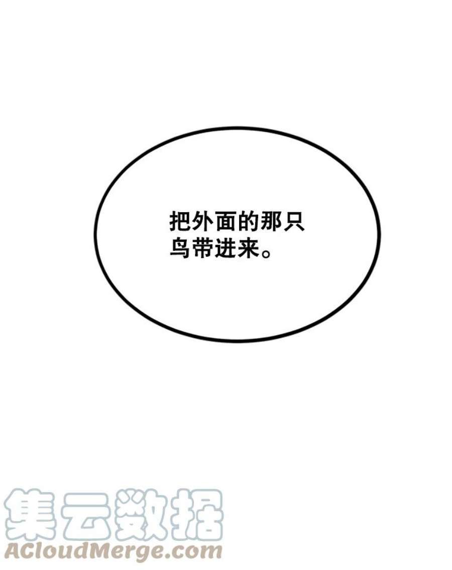 传令鸟公主殿下4.干得好，总司令官！