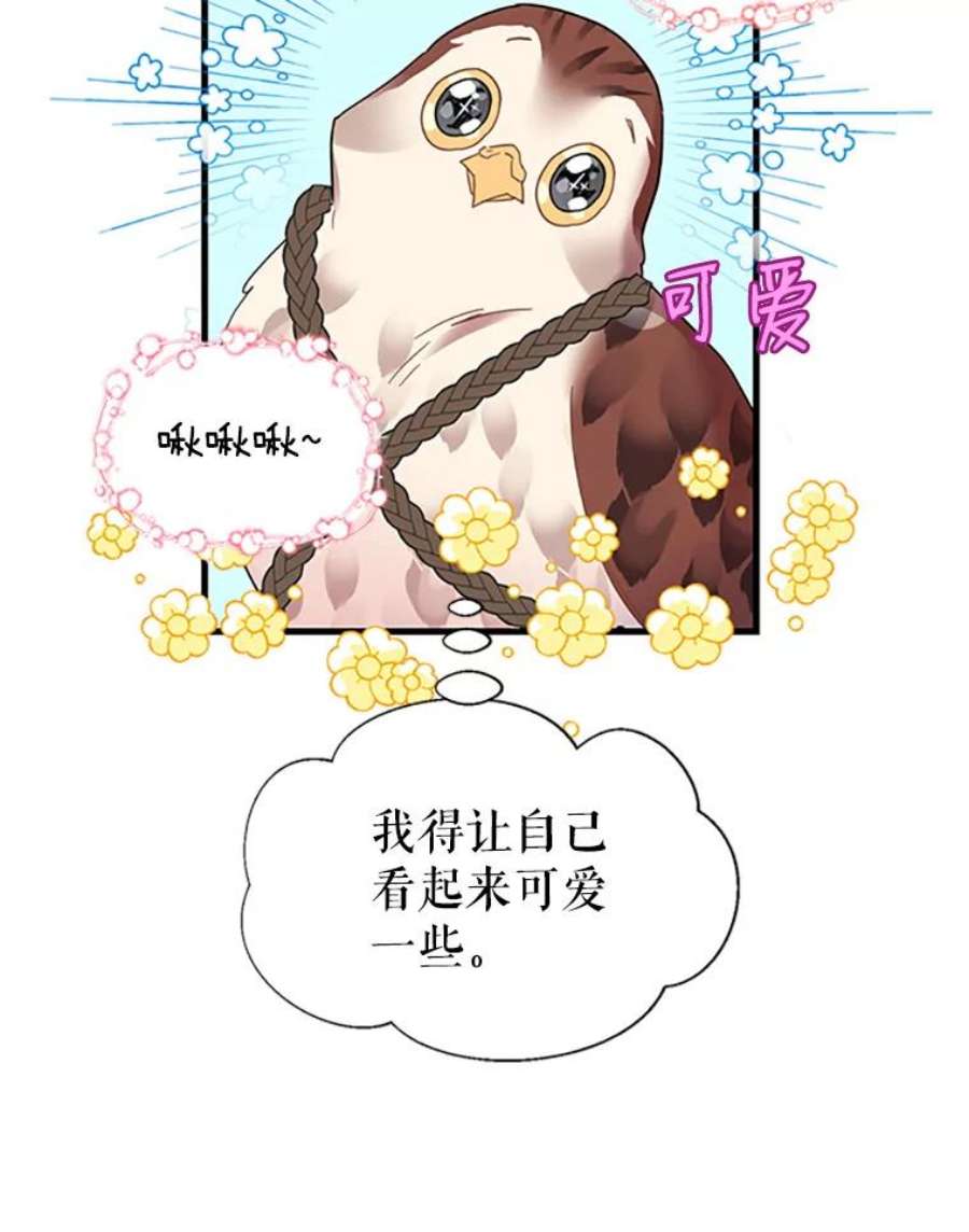 传令鸟公主殿下4.干得好，总司令官！