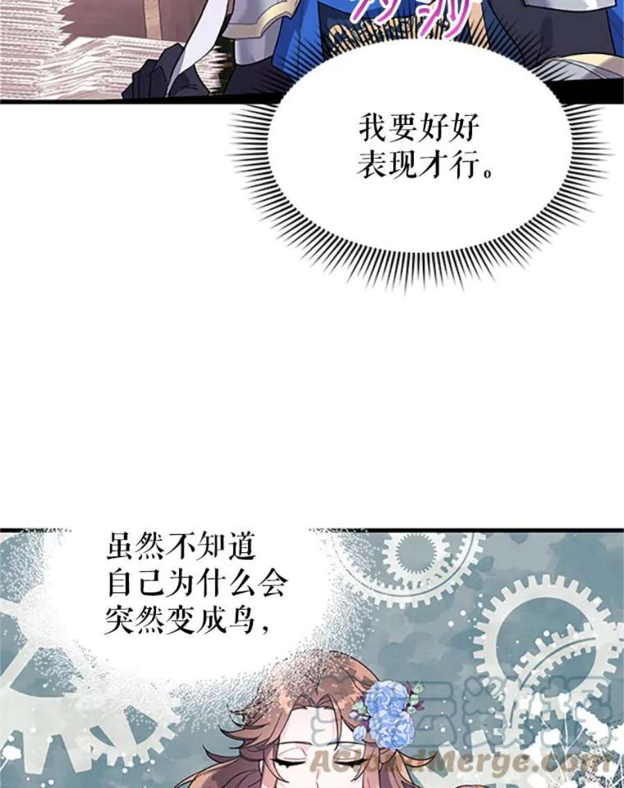 传令鸟公主殿下4.干得好，总司令官！