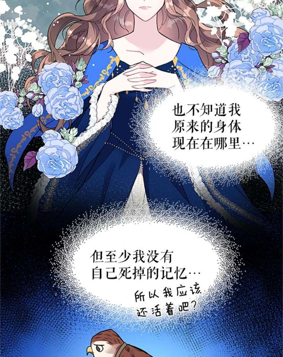 传令鸟公主殿下4.干得好，总司令官！