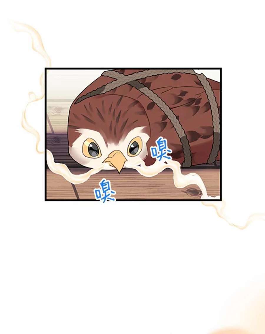 传令鸟公主殿下4.干得好，总司令官！