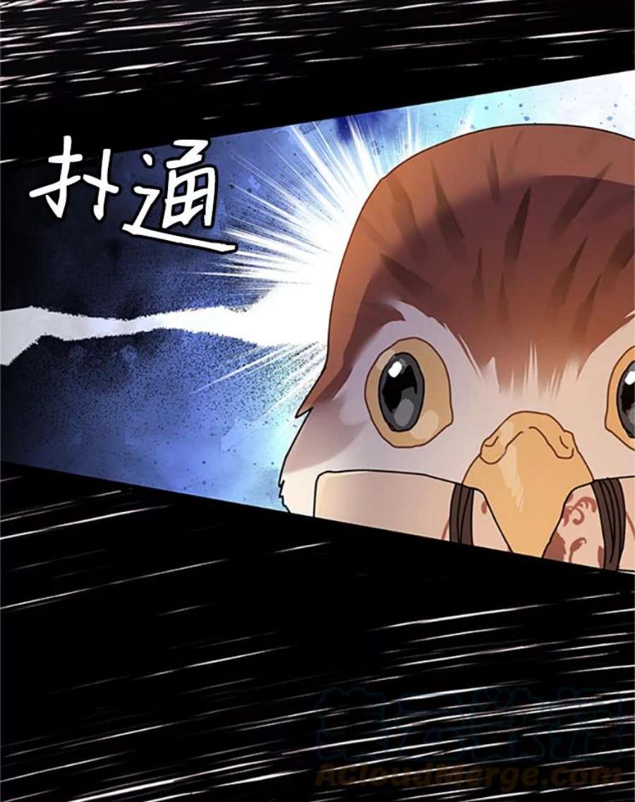 传令鸟公主殿下4.干得好，总司令官！