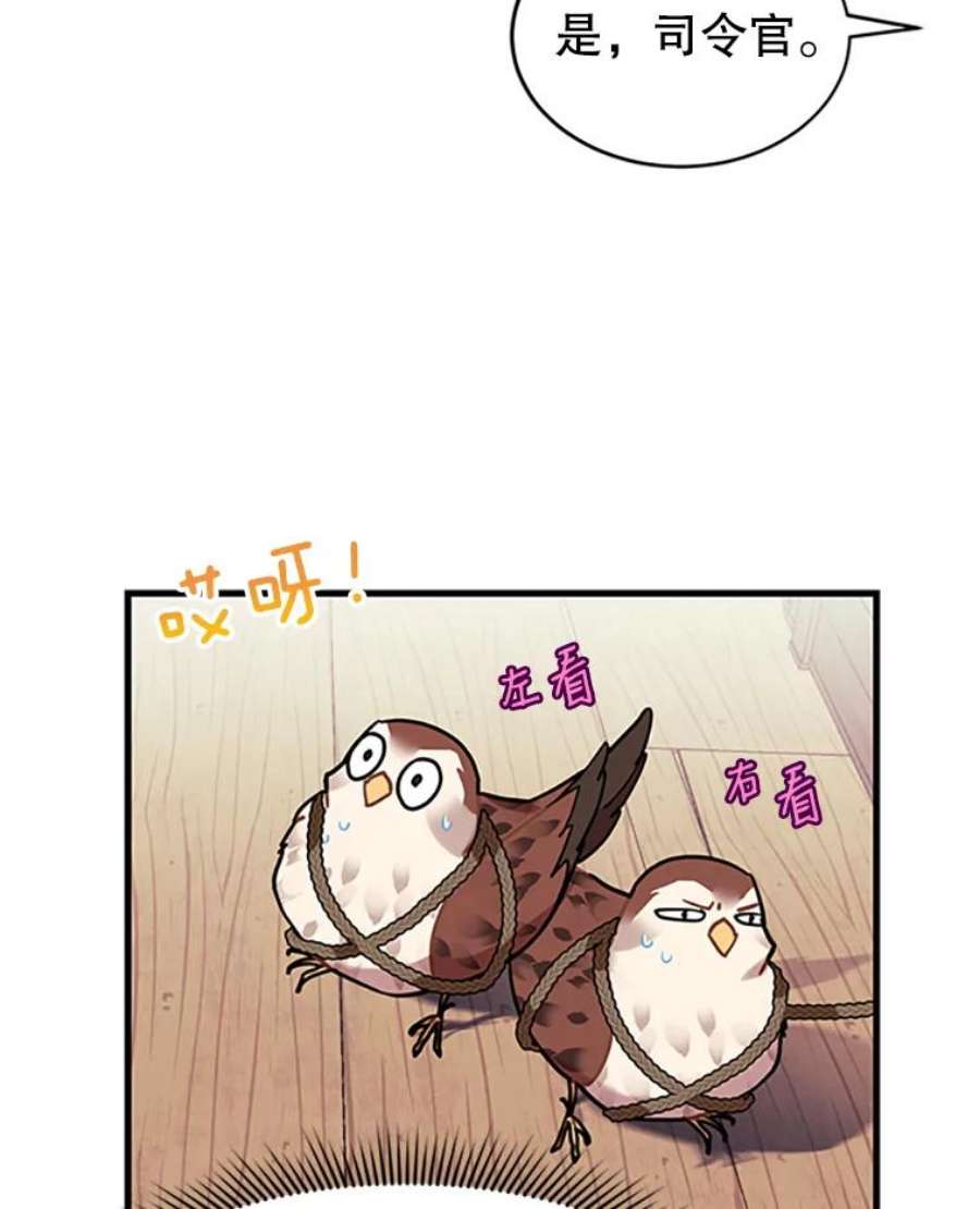 传令鸟公主殿下4.干得好，总司令官！