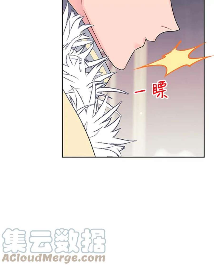 传令鸟公主殿下5.训练生活