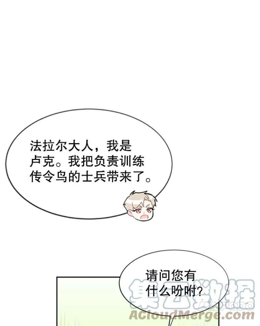 传令鸟公主殿下5.训练生活