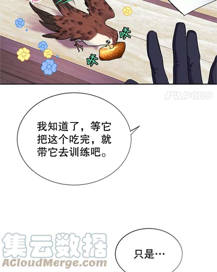 传令鸟公主殿下5.训练生活