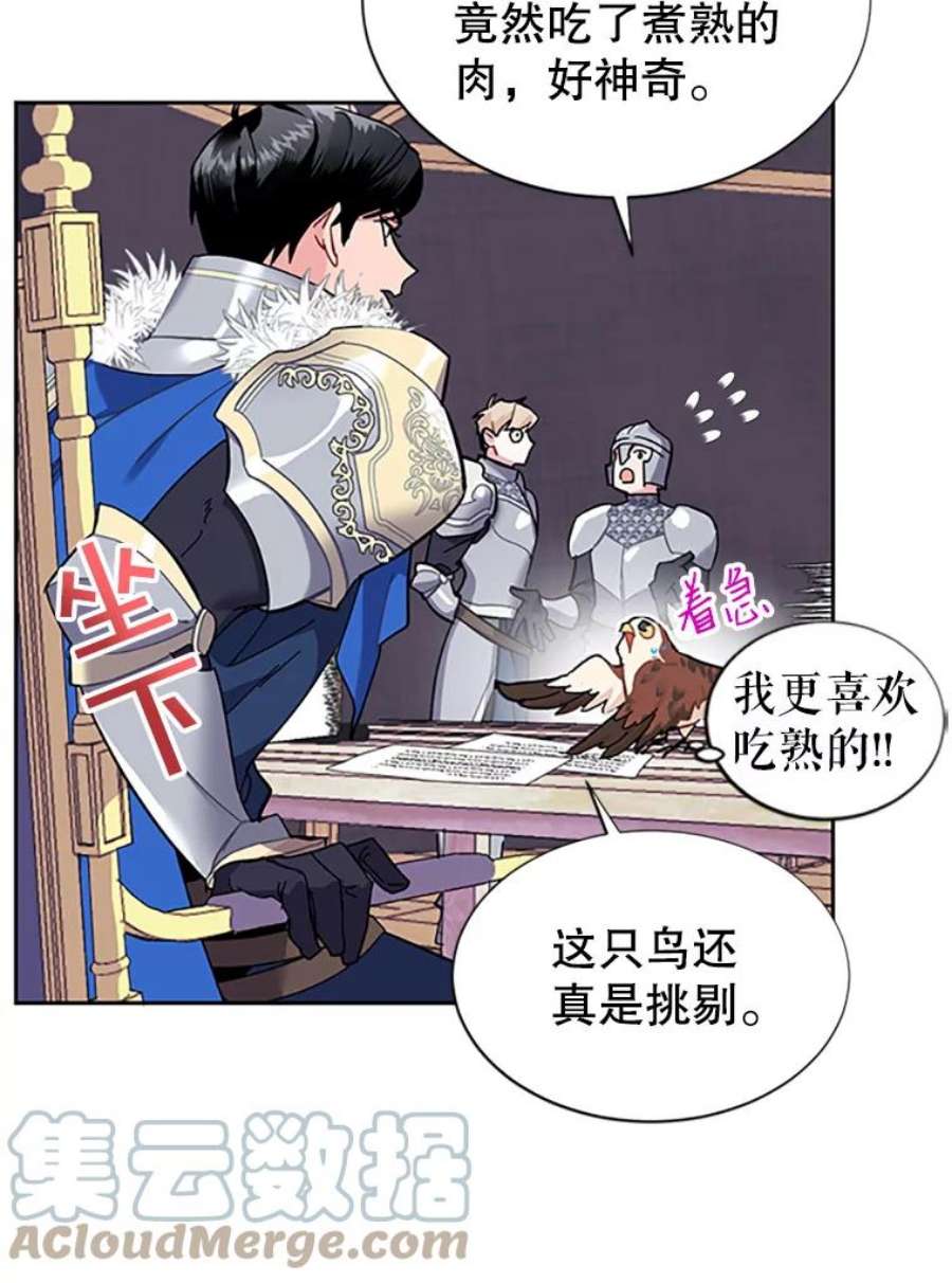 传令鸟公主殿下5.训练生活