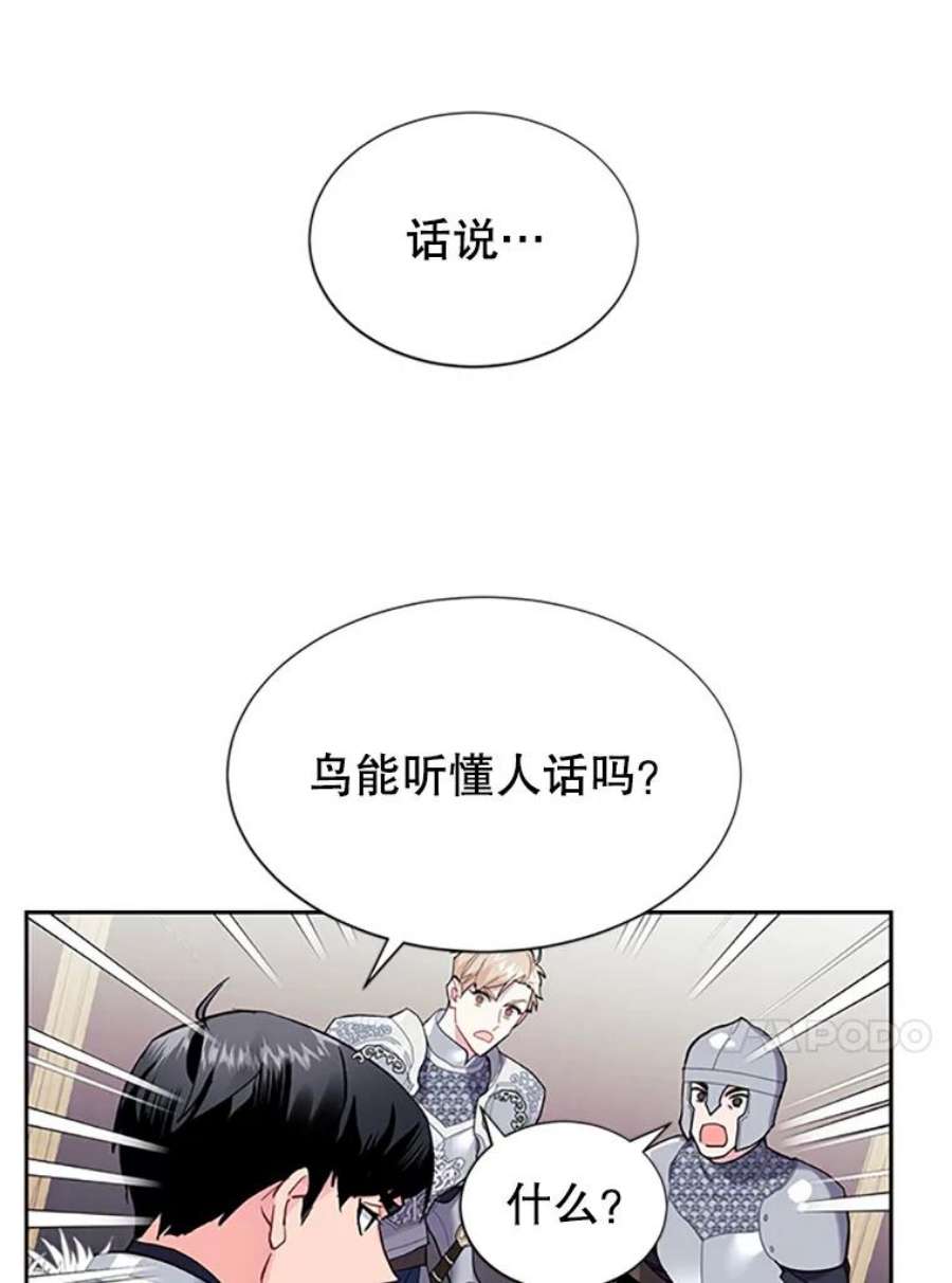 传令鸟公主殿下5.训练生活