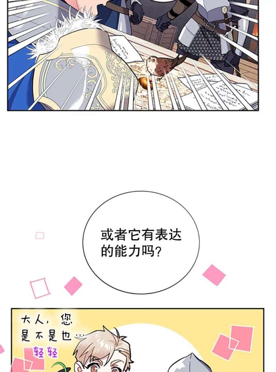 传令鸟公主殿下5.训练生活