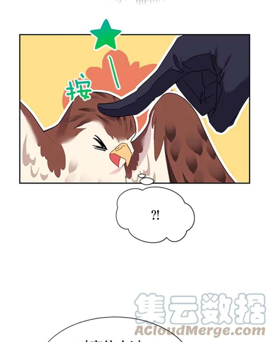 传令鸟公主殿下5.训练生活